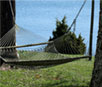 Hammock